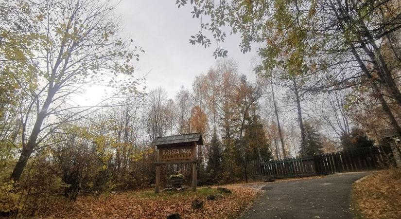 Begyógyszerezte magát és gyermekét a Bükkben, utolsó pillanatban mentették meg az életüket