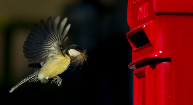 Váratlan meglepetést kaphatnak a magyar háztulajok: te is így járhatsz