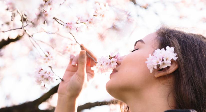 5 apró tavaszi rituálé, amivel manifesztálhatod az új céljaidat