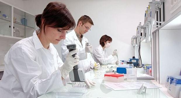 Új szuperélelmiszert fejlesztettek szemétből, ez alapjaiban rengeti majd meg a gasztronómiát