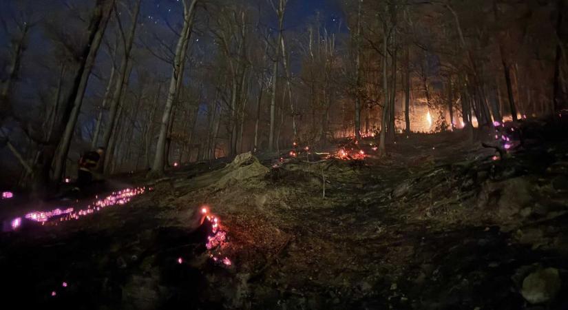 Két hektáron lángolt a száraz növényzet Nagybánya felett