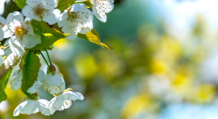 Kiadták a kéthetes előrejelzést: mutatjuk, milyen időre kell számítani