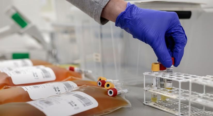 Egy tragikus baleset után új küldetést talált – Marco története megmutatja, hogyan menthet életet a vérplazma