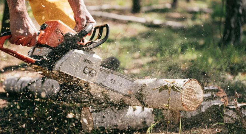 Láncfűrésszel támadtak egy fideszes aktivistára – ez lenne a szeretetország?