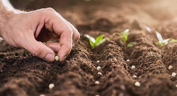 Egyszer csak eljön a vetés ideje