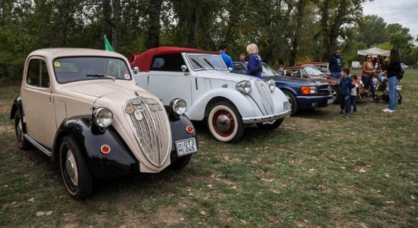 Jó hírt kaptak az autósok, ezekkel a kocsikkal mostantól ingyen használhatják az autópályákat