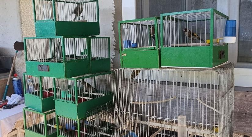 Kalitkákba zárva várták a sorsukat: döbbenetes dologra bukkantak a rendőrök a törökszentmiklósi házban