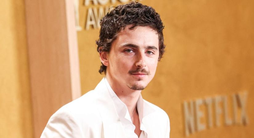 Timothée Chalamet szerint a balett és az opera senkit sem érdekel, felháborodott a művészvilág