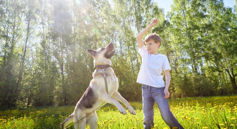 Szerdán akár 20 fok is lehet!
