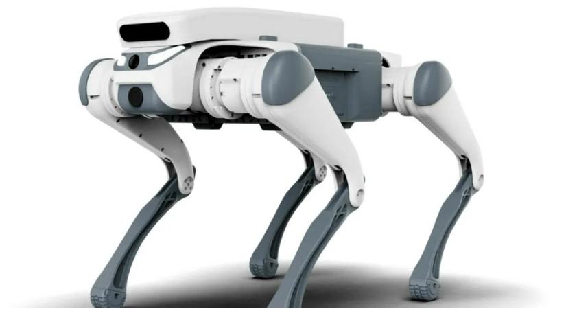 Robotkutyákkal javítanák a köztisztaságot egy erdélyi városban