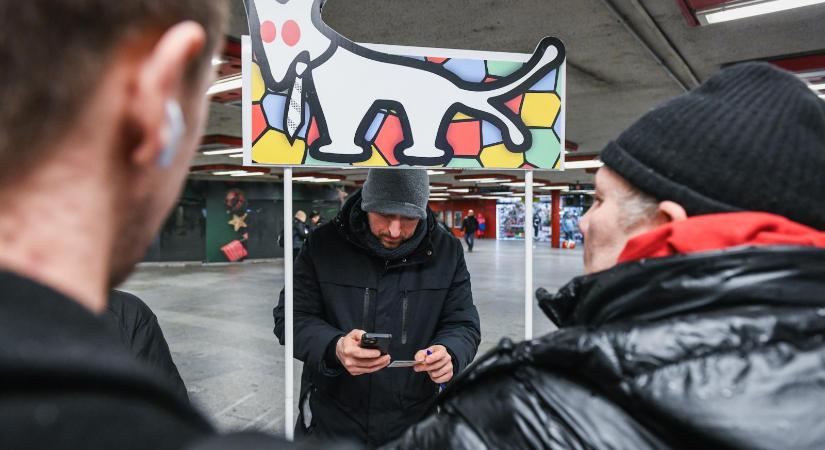 A Magyar Kétfarkú Kutya Párt szerint valaki szervezetten, központi akcióként hátráltatja jelöltjei nyilvántartásba vételét