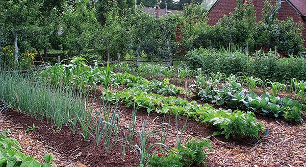 Indul a vetési szezon