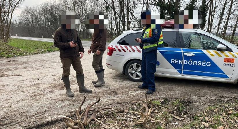 A gímek buktatták le őket, korábbról jól ismert agancsozókat kaptak el Lábodnál