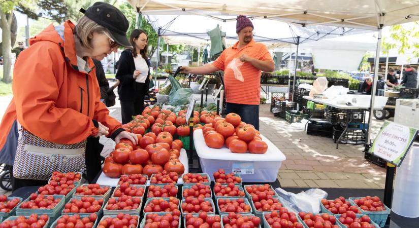 Meglepő KSH-adat: alig nőnek az élelmiszerárak Magyarországon