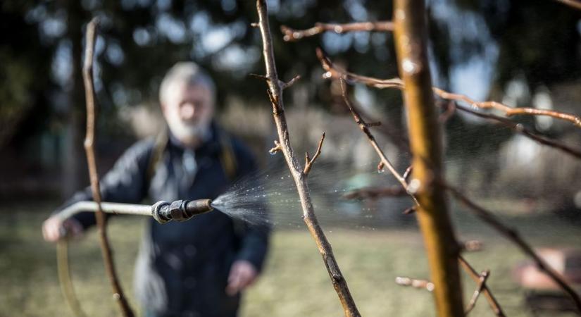 A termés múlhat rajta! Ezek az utolsó napok a lemosó permetezésre