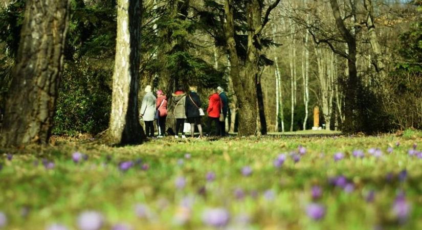 Ezt jósolja Ildikó: 40 napos hideg vár ránk vagy melegedés Zalában?