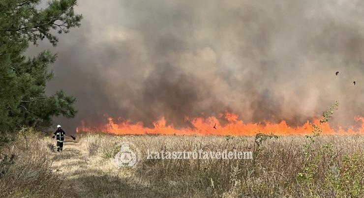 Odafigyeléssel előzzük meg a vegetációs tüzeket! 