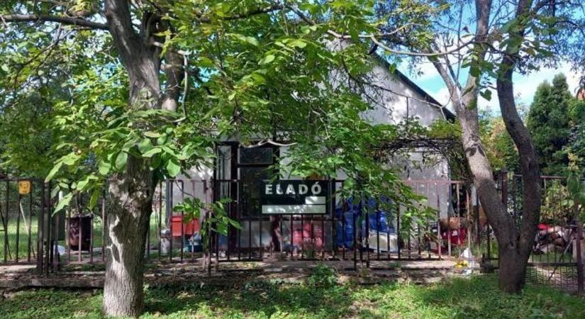 50 millió alatt ház a Balatontól 150 méterre? Fotókon mutatjuk, mit árulnak