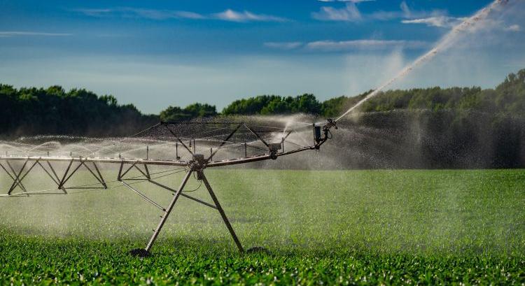 Öntözővíz: idén sem kell fizetni érte