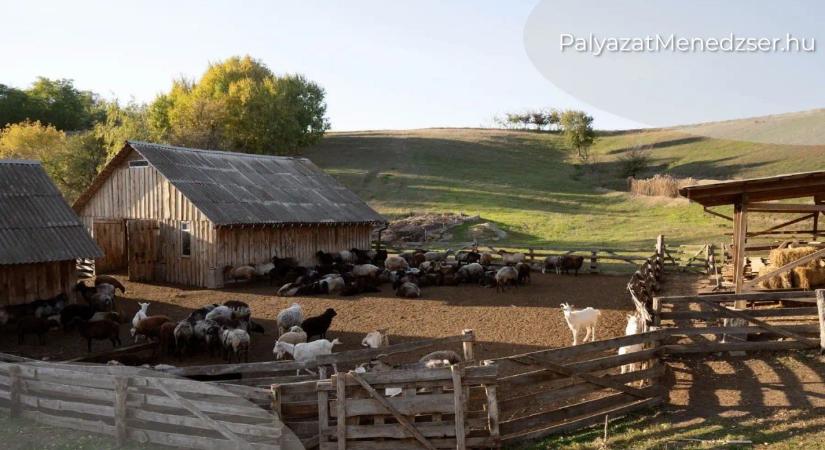 15 milliárd forintos új támogatás a mezőgazdasági kisüzemeknek