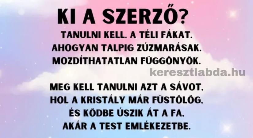 Irodalom feladat profiknak: Tudod-e, melyik világhírű költőnk alkotott „mozdíthatatlan függönyöket” a zúzmarából?