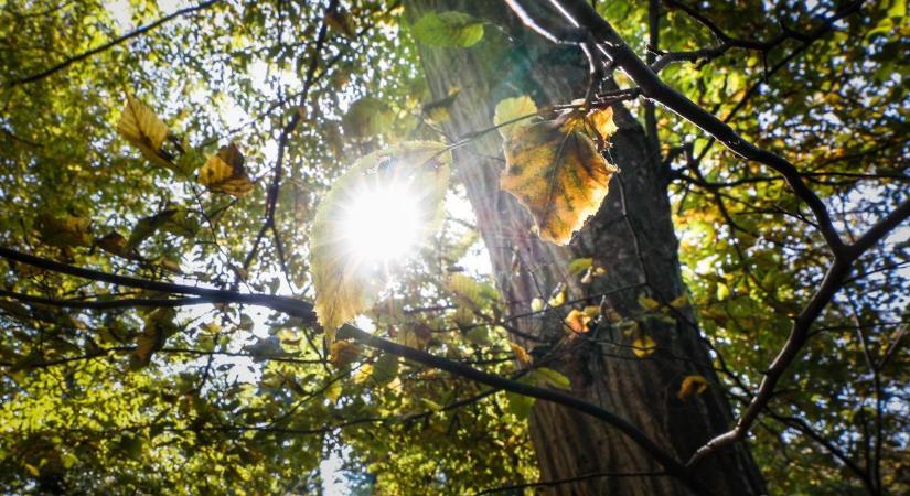 Élvezi a tavaszt? Ami most jön, az lesz csak az igazi meglepetés!