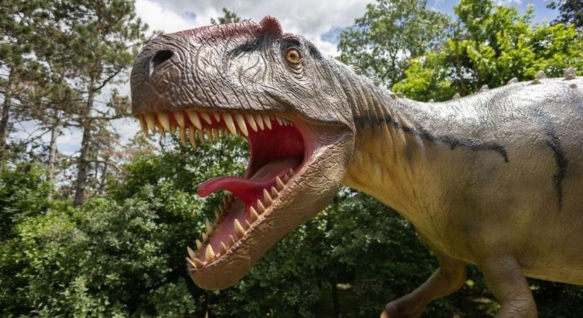 Pár nap múlva újra megnyílik a Dinó park a Veszprémi Állatkertben