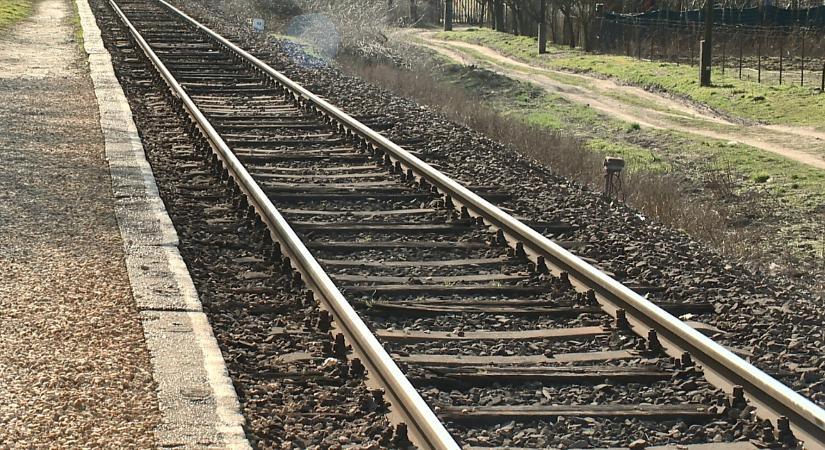 Kiemelten fontosnak tartja a kötöttpályás közlekedés fejlesztését a Mi Hazánk Mozgalom