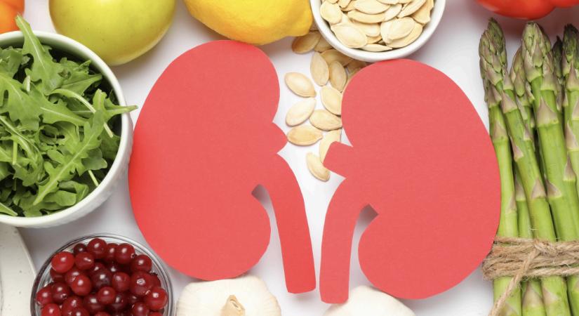 Őrizzük meg a veséink egészségét: mi rontja, mi védi, és mit tehetünk a mindennapokban?