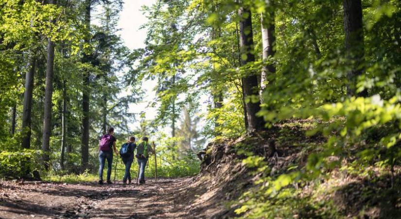 Emberre is veszélyes betegség miatt rendelnek el zárlatot – ezeket a vármegyéket érinti