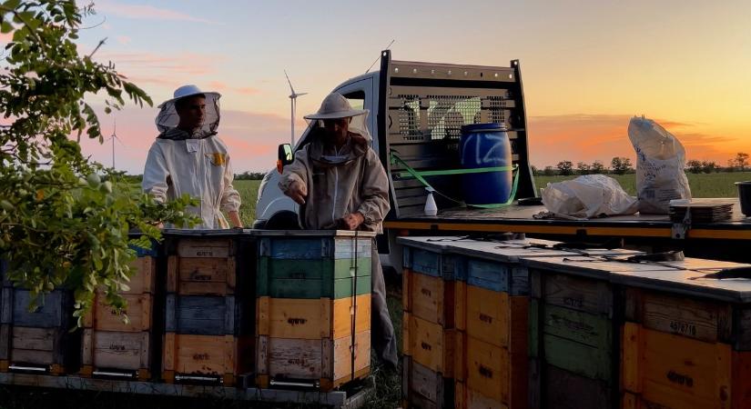 Harmadik generáció a kaptárak között – prémium irány a jövő?
