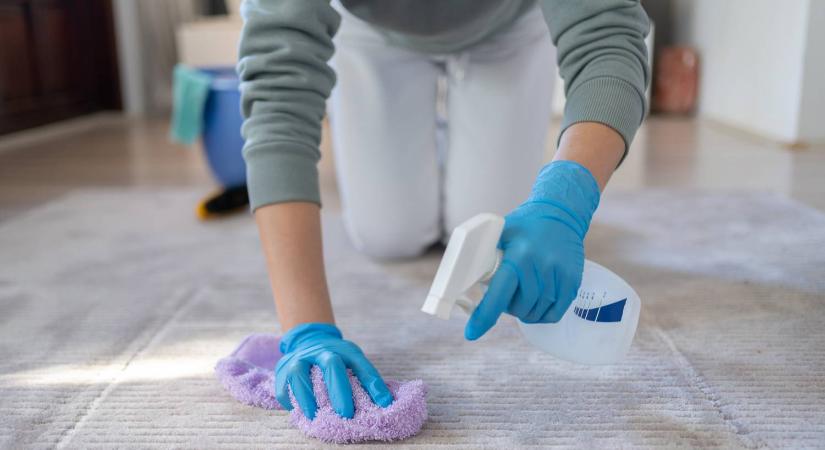 Itt a legjobb házi készítésű szőnyegtisztító, ez nem irgalmaz a foltoknak