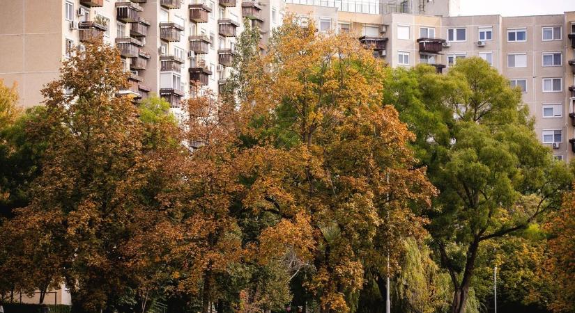 Valami készül a Tócóskertben, felbolydult a net, mindenki azt találgatja, mi épül a panelek között