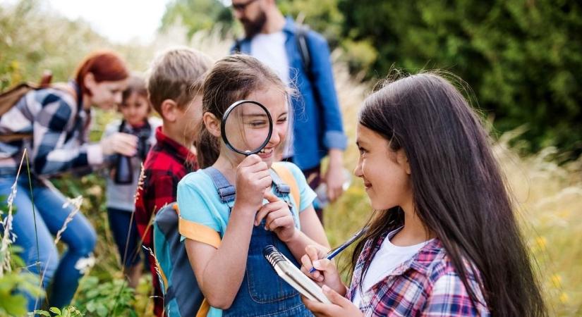Ovis tyúkfarm és kóstolható tanösvény: 2,5 millió forintot nyerhetnek zalai gyerekek a pályázaton