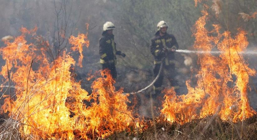 Ismét felcsaptak a lángok Tiszafürednél, három város tűzoltói siettek a helyszínre!