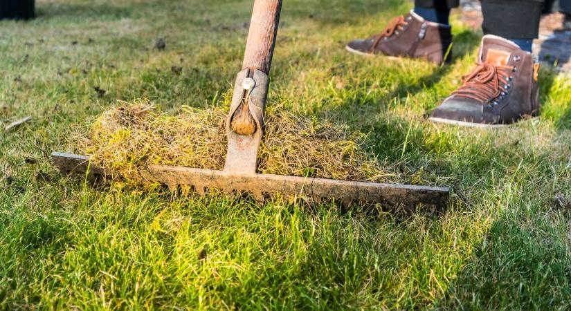 Kipusztult télen a fű a kertben? Mutatjuk pontosan mit lehet vele kezdeni