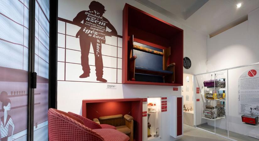 Teveabraknak hitték, feketeleves lett belőle – Petőfinek és Cseh Tamásnak is fő a kávé a Kazinczy utcában