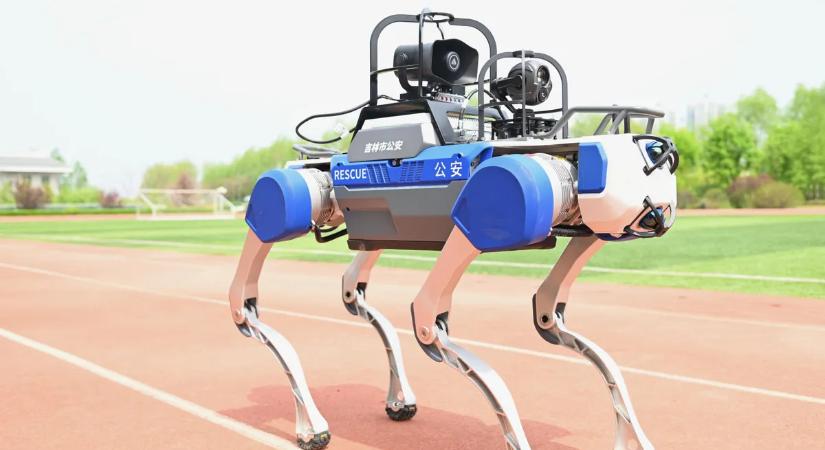 Robotkutyákkal javítanák a köztisztaságot Marosvásárhelyen