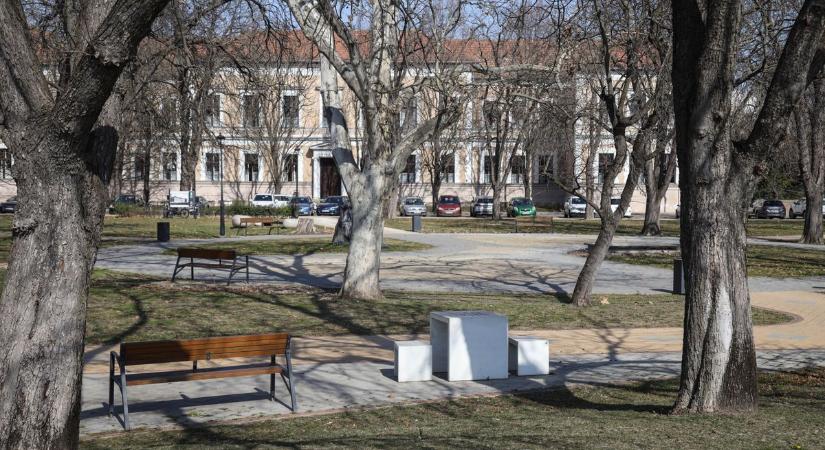 Ébredezik a természet, csodás tavaszi felvételeket hoztunk a Tisza-partról