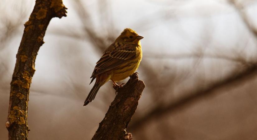 Vajon velünk marad a napos időjárás? Most kiderül!