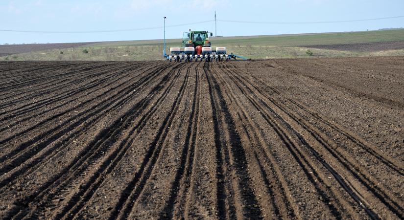 Ekkora versenyelőnyben Ukrajna az árrobbanás idején