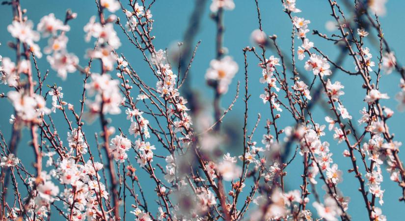 Ildikó sorsdöntő napja: brutális hideg vagy korai tavasz vár ránk?