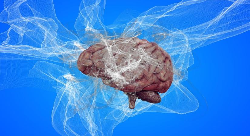 Elképesztő: kutatók szerint agyunk kapcsolódik a Föld elektromágneses frekvenciáival