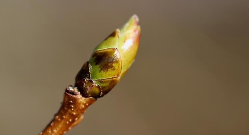 Időjárás: Derült égből támad a meglepetés VIDEÓ