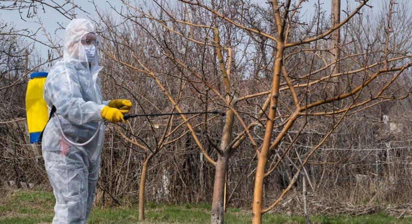 Csak rügyfakadásig van idő: ha ezt most elmulasztja a kertben, később hiába permetez!