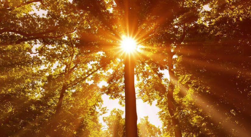 Elementáris meglepetést hoz a nyár 2026-ban, ilyet még nem hallottál