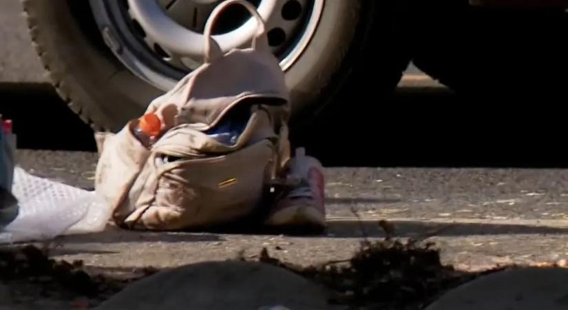 Katasztrófaturistákkal kellett megküzdeniük rendőröknek a halálra gázolt nyugdíjas holttesténél