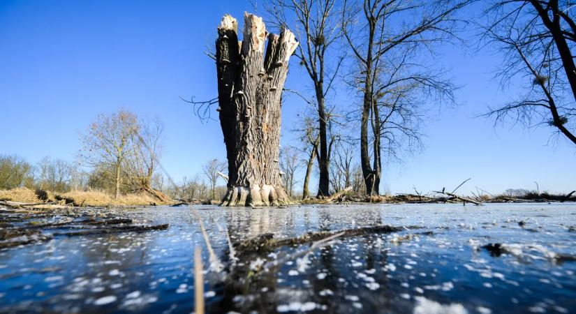 Készüljünk a legrosszabbra: valami nagyon félelmetes jött ki az orosz jégmezők alól