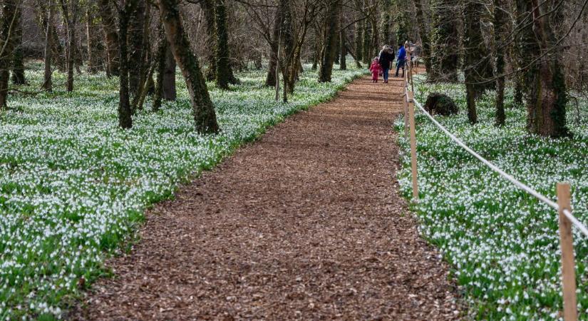 Hírmozaik – március 10.