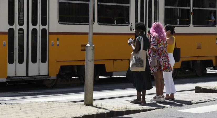 Vitézy Dávid: Véres homokhalmok láthatók Budapest egyik forgalmas szakaszán, 24 órával egy halálos baleset után